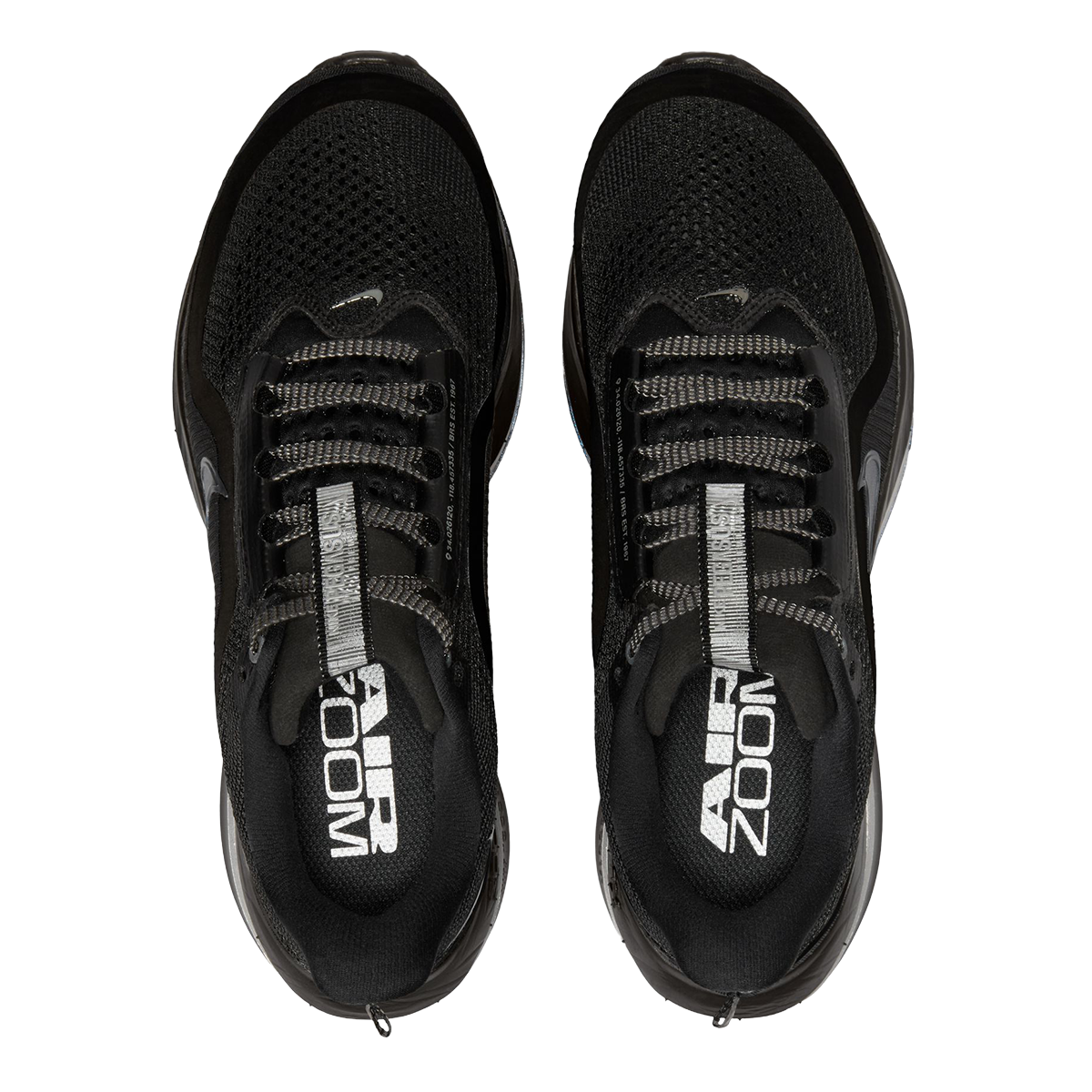 Nike Pegasus Premium