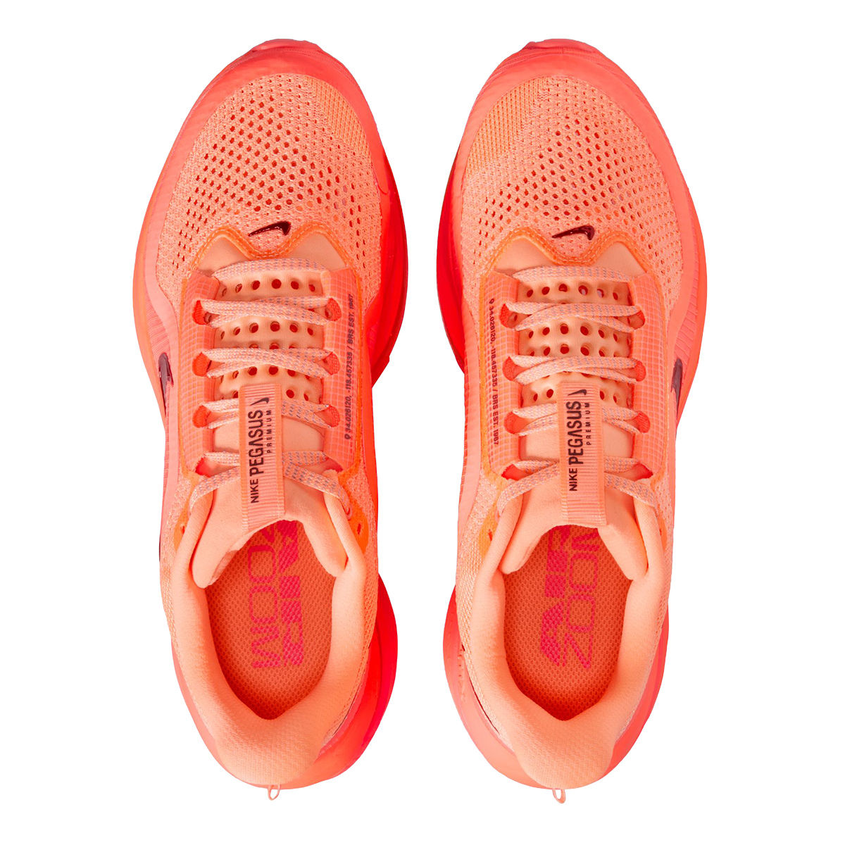Nike Pegasus Premium
