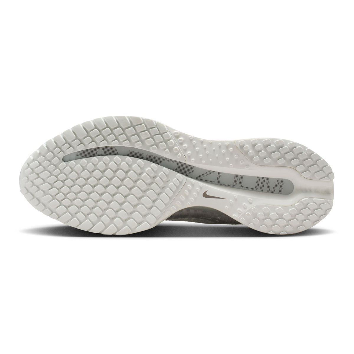 Nike Pegasus Premium